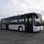 MAN A 23 Lions City / Gelenkbus / EURO 6