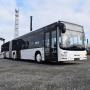 MAN A 23 Lions City / Gelenkbus / EURO 6