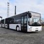 MAN A 23 Lions City / Gelenkbus / EURO 6