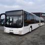 MAN A 23 Lions City / Gelenkbus / EURO 6