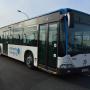 Mercedes Benz Citaro 530 G / Klima / EURO 4 / TOP ZUSTAND