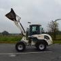 Terex TL 65 / 4 in 1