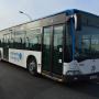 Mercedes Benz Citaro 530 G / Klima / EURO 4 / TOP ZUSTAND