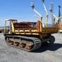 Yanmar C 80 **Raupendumper**