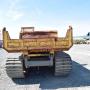 Yanmar C 80 **Raupendumper**