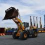 Liebherr L 566