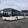 MAN A 23 Lions City / Gelenkbus / EURO 6