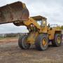 Hanomag MF 66 C / 20 to / Radlader