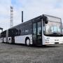 MAN A 23 Lions City / Gelenkbus / EURO 6