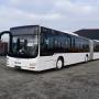 MAN A 23 Lions City / Gelenkbus / EURO 6