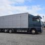MAN TGA 26.430 XL / Menke Viehtransporter / 3 Stock