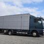 MAN TGA 26.430 XL / Menke Viehtransporter / 3 Stock
